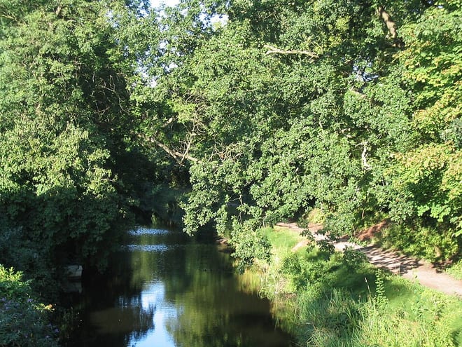 Photo of Basingstoke Canal