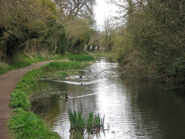 Photo of Grand Union Canal (Wendover Arm)