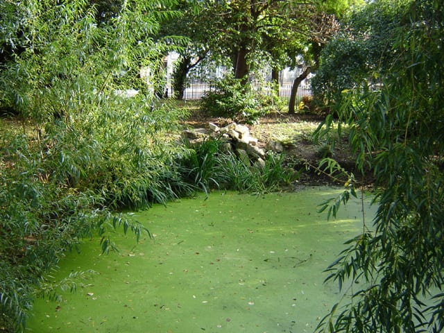 Photo of New River