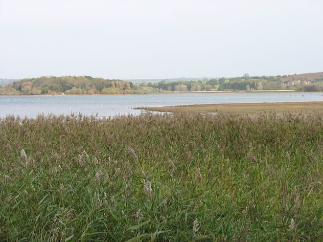 Photo of Chew Valley Lake