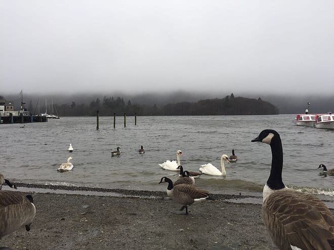 Photo of Derwent Water