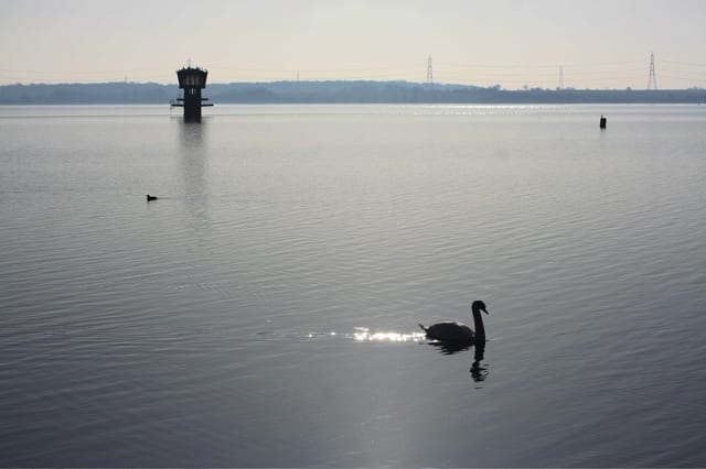 Photo of Grafham Water