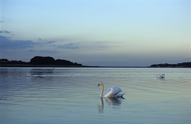 Photo of Rutland Water