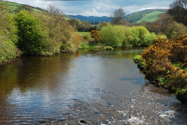 Photo of Afon Rheidol