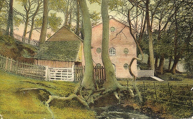 Photo of Darent