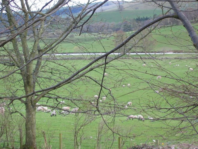 Photo of Gala Water