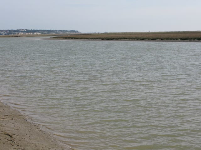 Photo of Great Stour