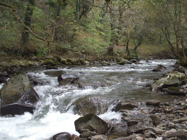 Photo of River Afan