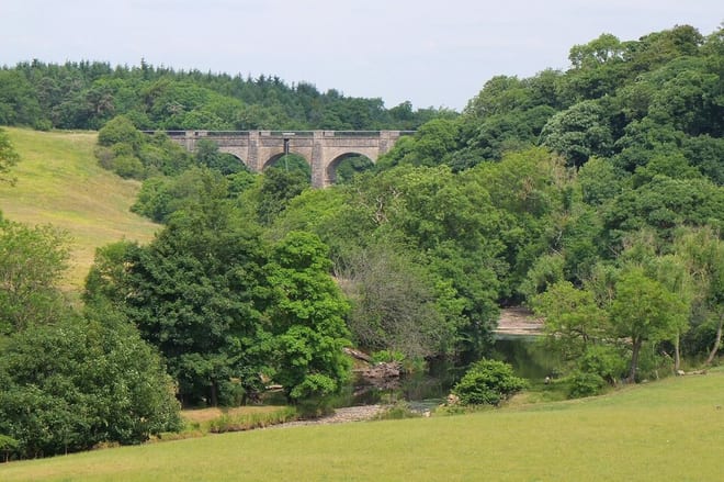 Photo of River Almond