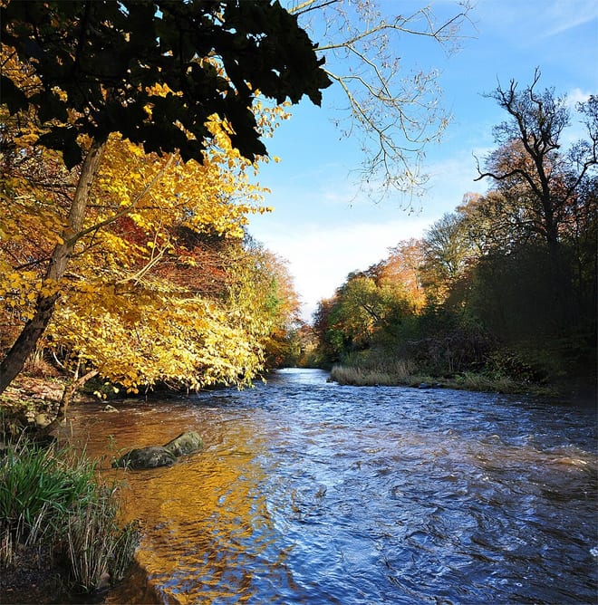 Photo of River Almond