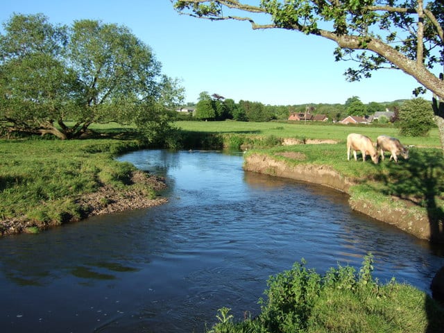 Photo of River Axe
