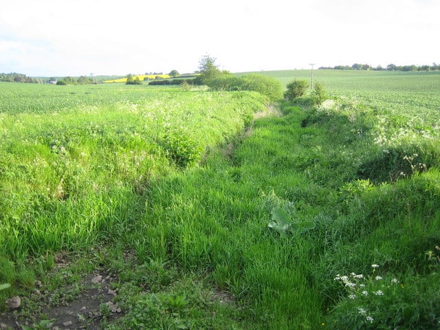 Photo of River Beane