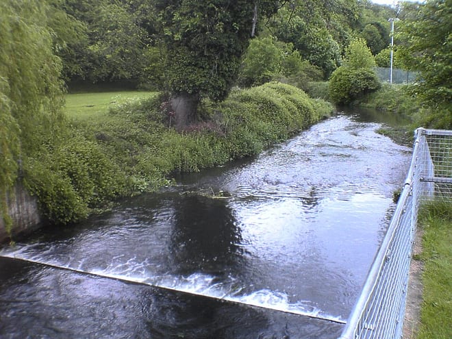 Photo of River Beane