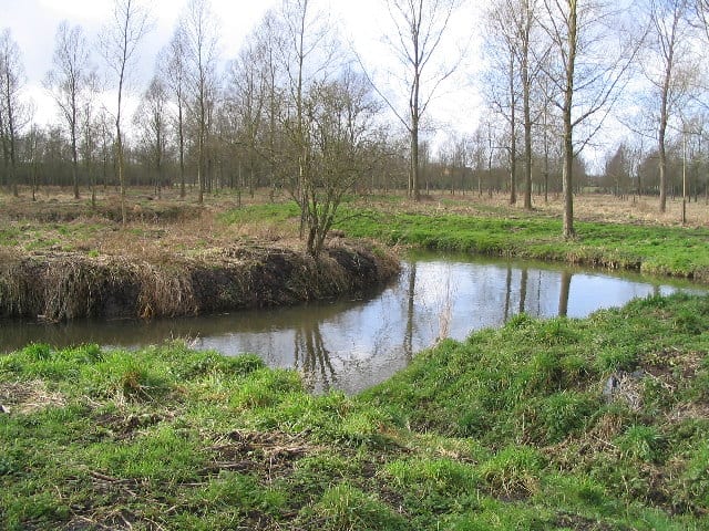 Photo of River Blackwater (Essex)
