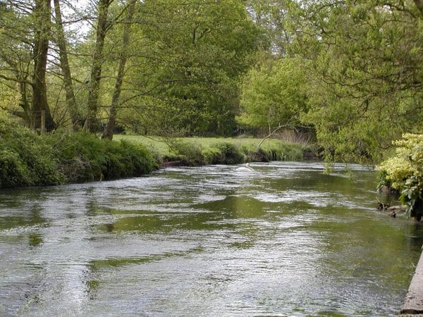 Photo of River Blackwater (Hampshire)