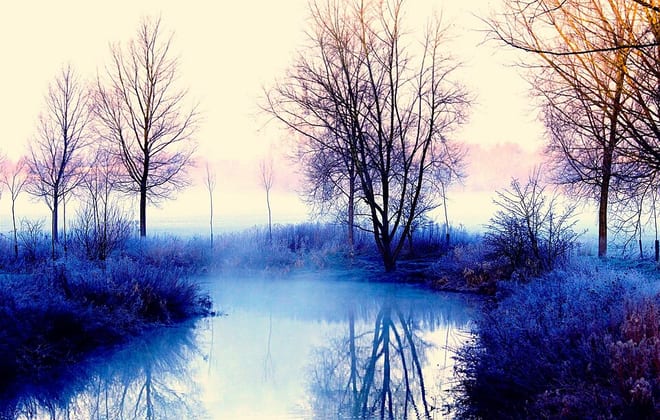 Photo of River Chelmer