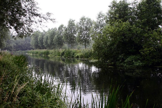 Photo of River Chelmer