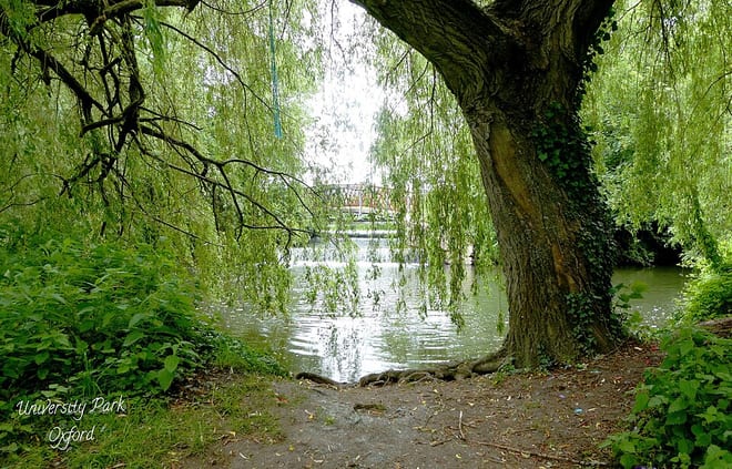 Photo of River Cherwell