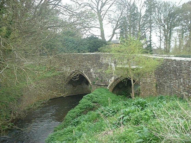 Photo of River Chew