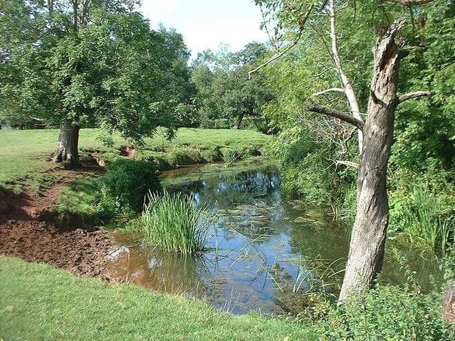Photo of River Chew