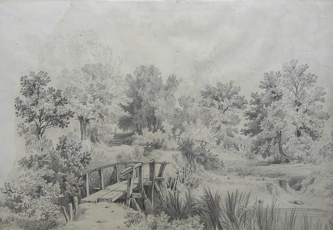 Photo of River Cole