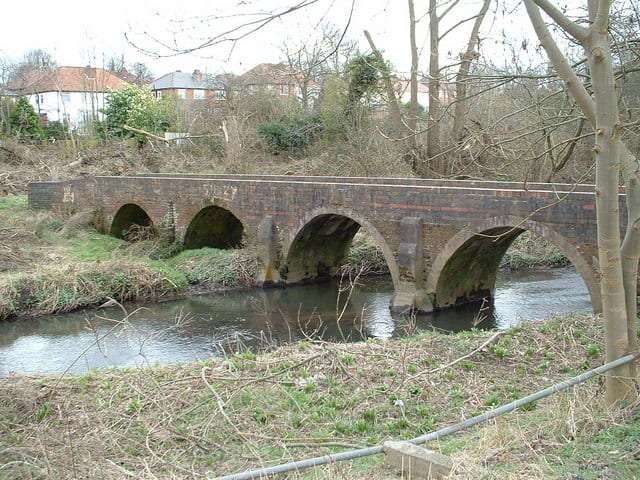 Photo of River Cole