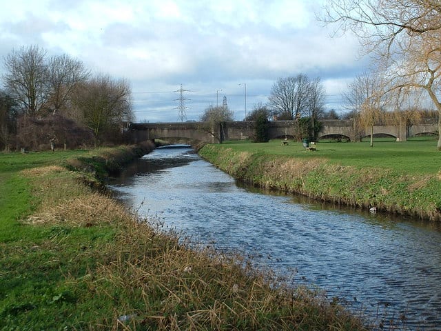 Photo of River Cole