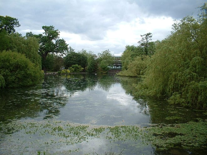 Photo of River Cray