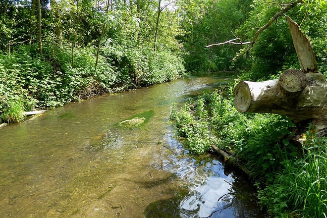 Photo of River Cray