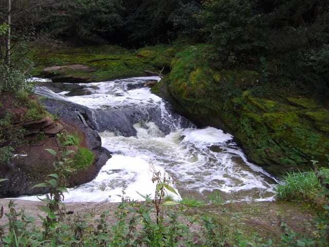 Photo of River Darwen