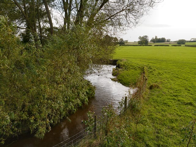 Photo of River Dean