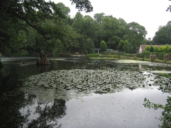 Photo of River Eden (Kent)