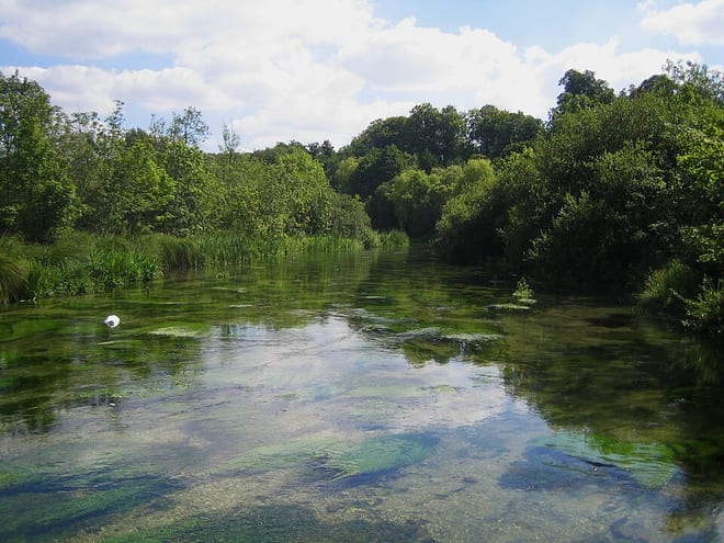 Photo of River Itchen