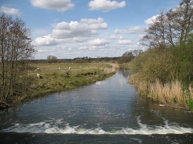 Photo of River Lark