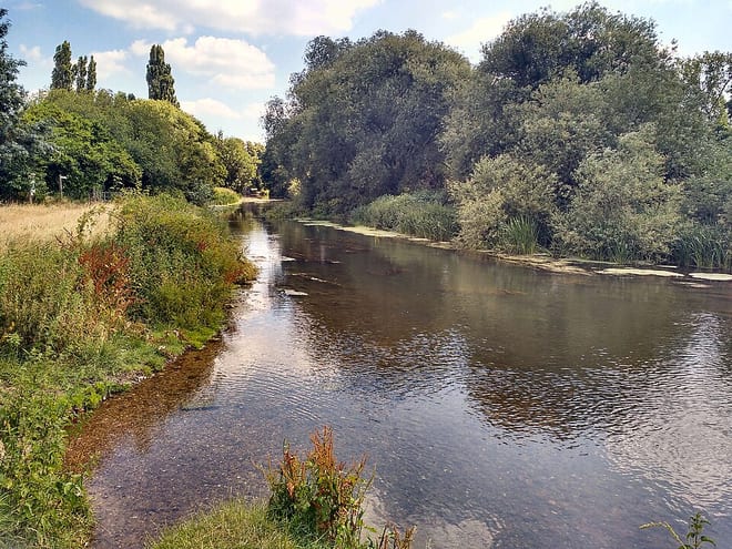 Photo of River Mole