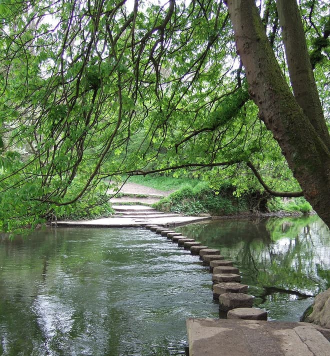 Photo of River Mole