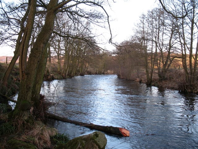 Photo of River Nidd