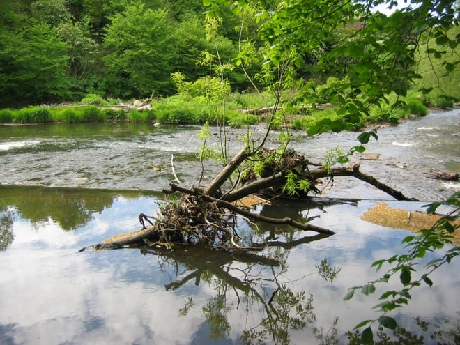 Photo of River North Esk