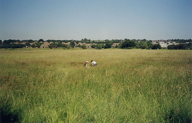 Photo of River Roding