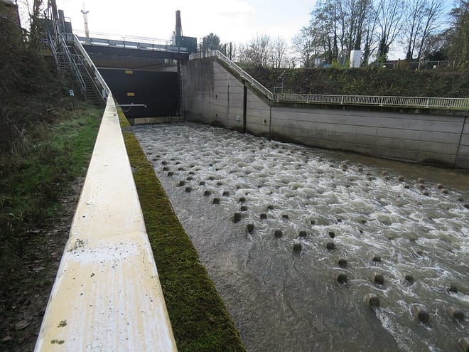 Photo of River Rother