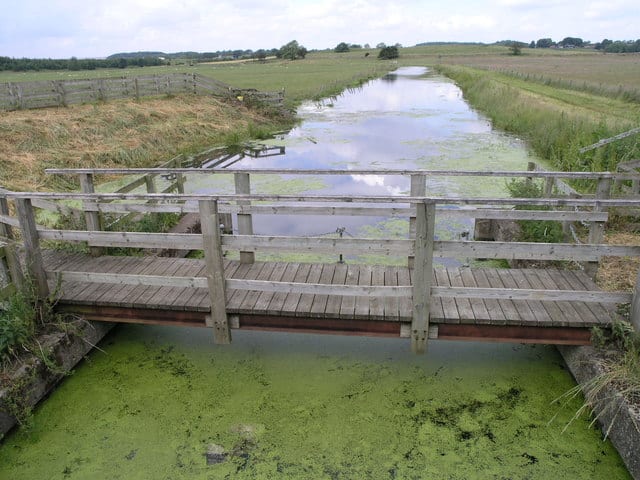 Photo of River Skerne
