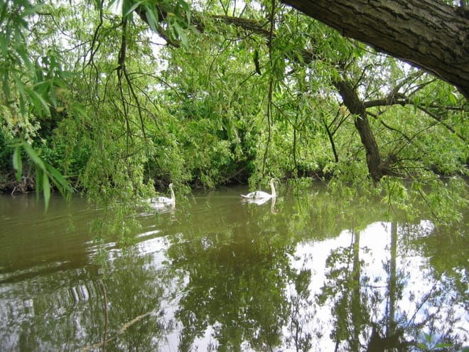 Photo of River South Esk