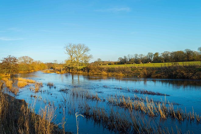 Photo of River Stour (Dorset)