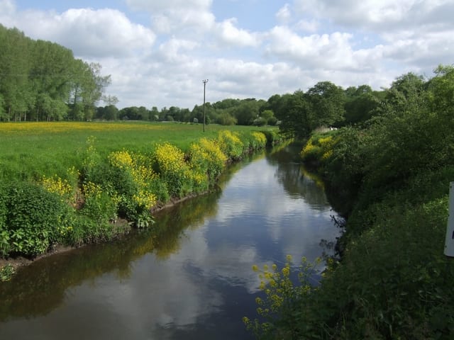 Photo of River Stour (Worcestershire)