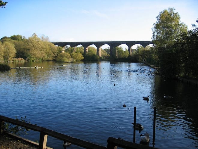 Photo of River Tame (Greater Manchester)