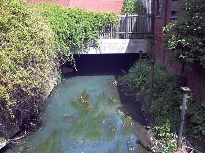 Photo of River Tame (West Midlands)