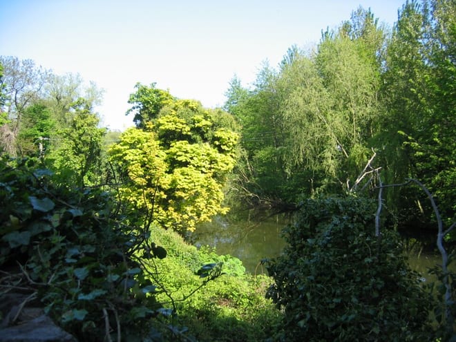 Photo of River Tyne (East Lothian)