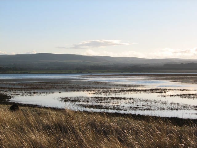 Photo of River Tyne (East Lothian)