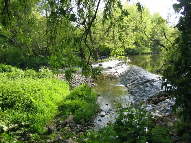 Photo of River Tyne (East Lothian)