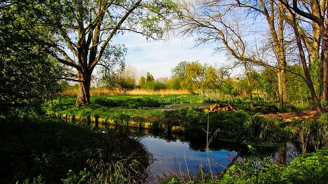 Photo of River Wandle